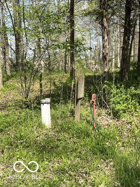 Listing Image 64
