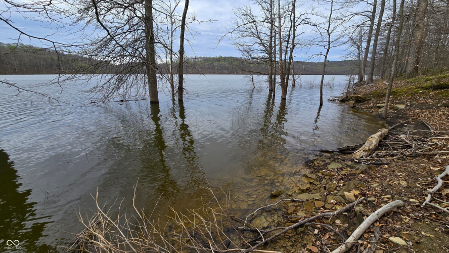 Listing Image 8