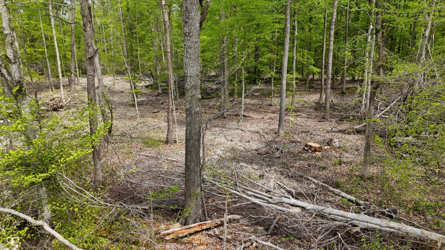 Listing Image 18