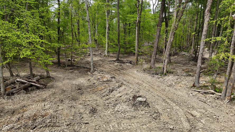 Listing Image 24