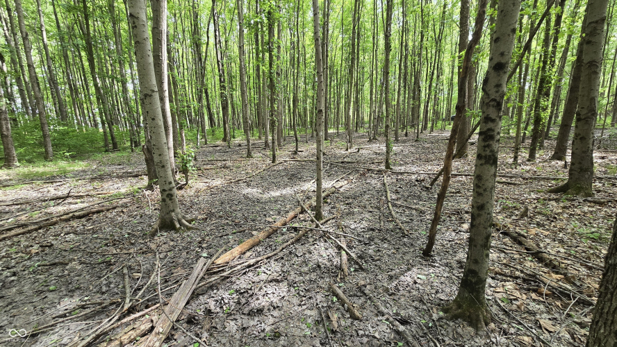 Listing Image 25