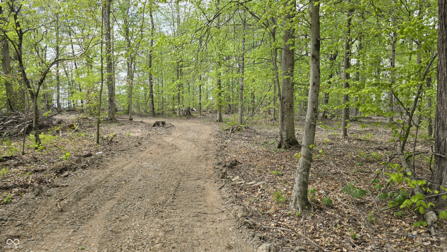 Listing Image 26