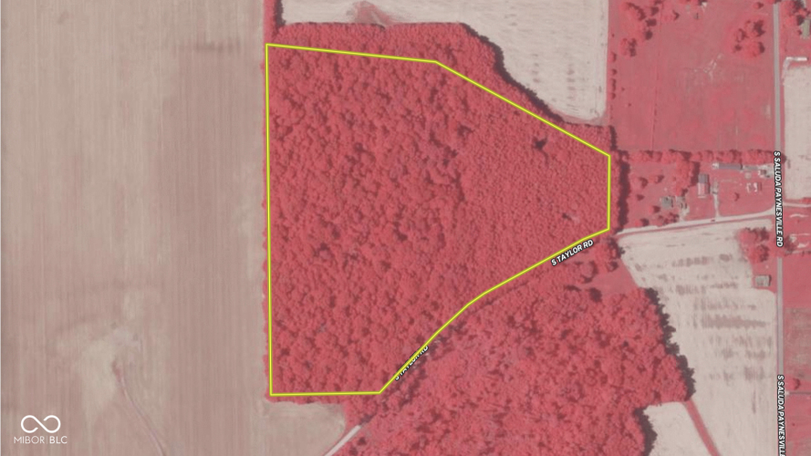 Listing Image 28