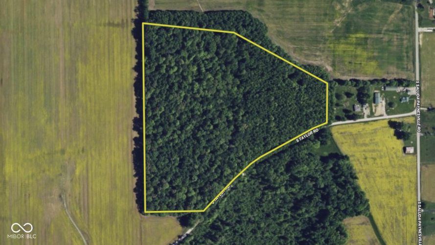 Listing Image 4