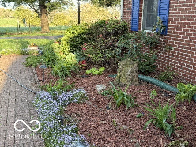 Listing Image 47