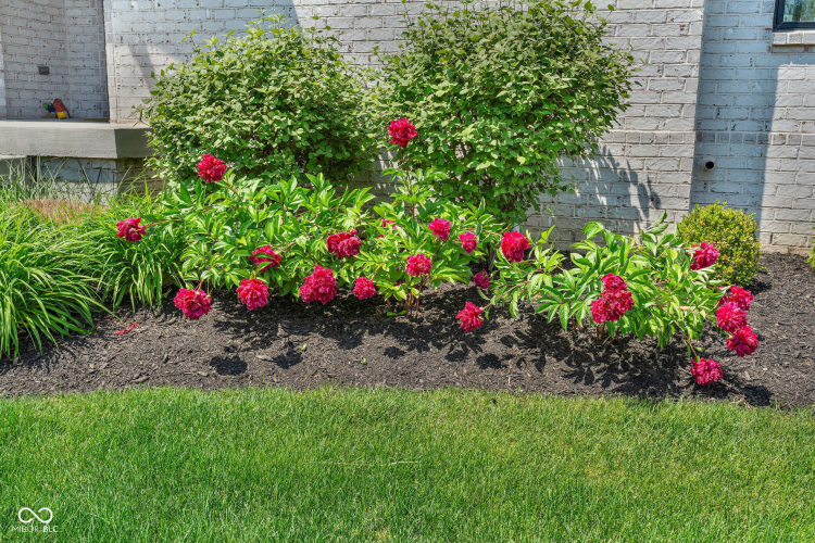 Listing Image 54