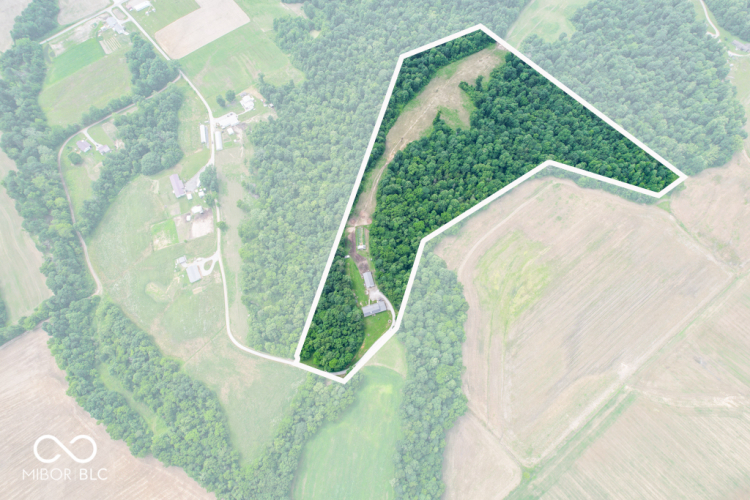 Listing Image 62