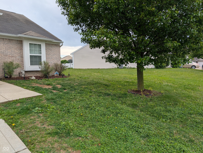 Listing Image 27