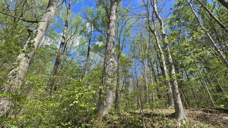 Listing Image 18