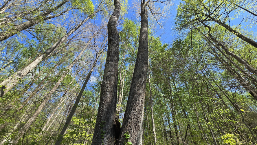 Listing Image 24