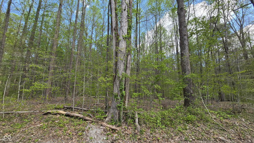 Listing Image 38