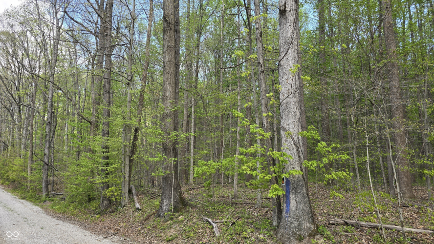 Listing Image 39