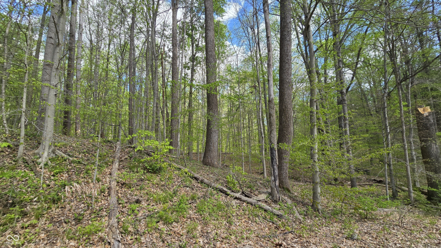 Listing Image 41