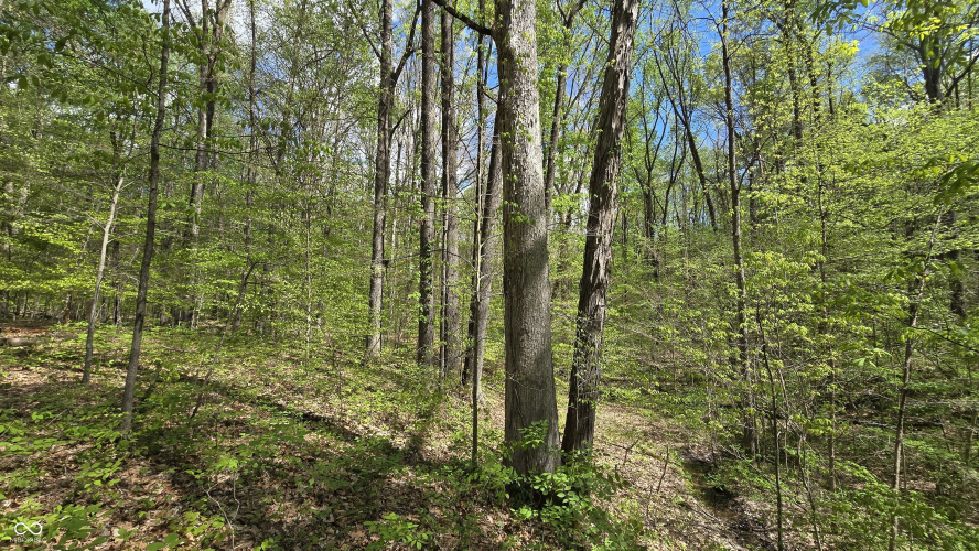 Listing Image 42