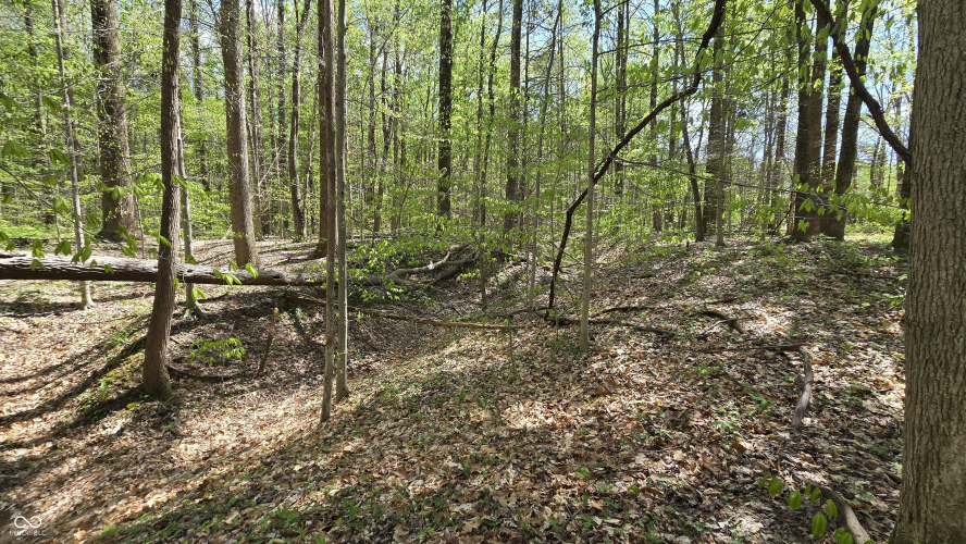 Listing Image 43