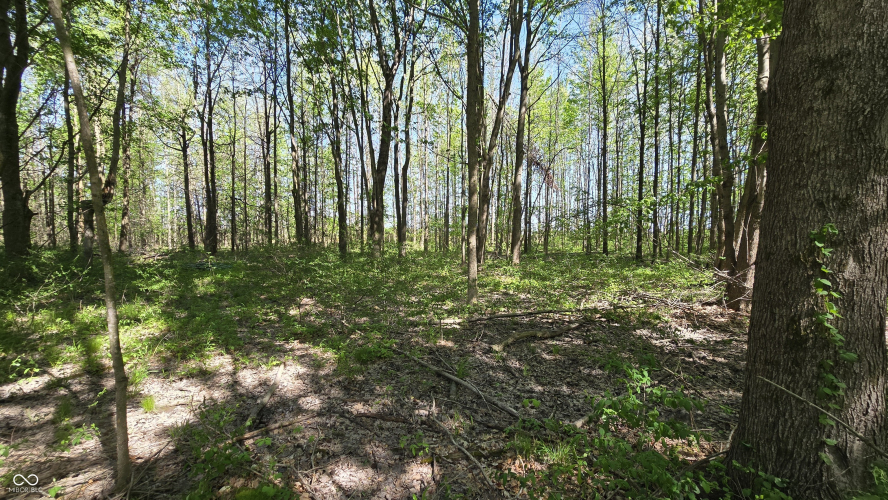 Listing Image 46