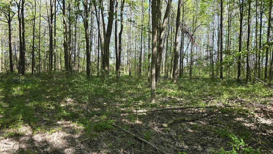 Listing Image 47