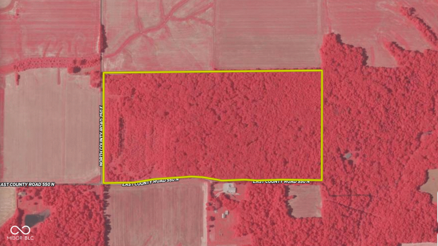 Listing Image 49