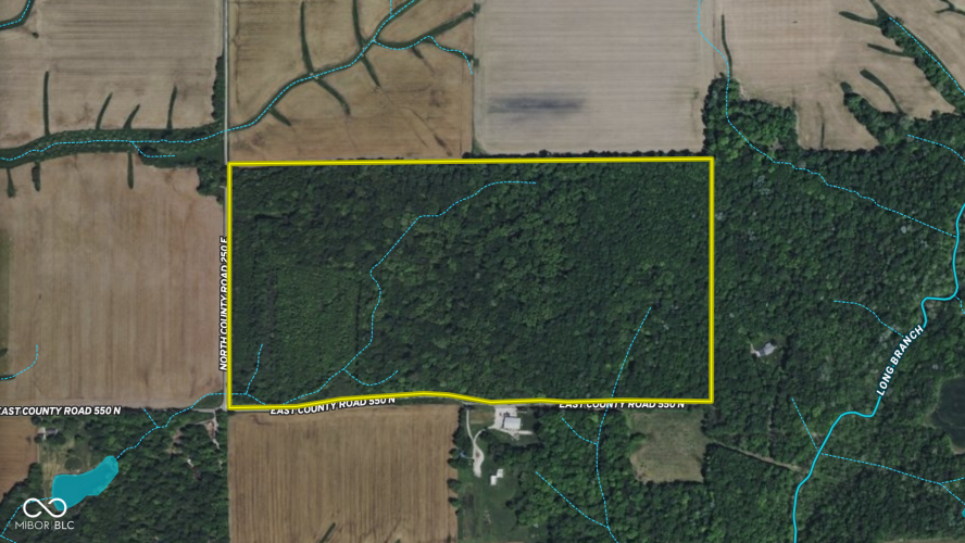 Listing Image 54
