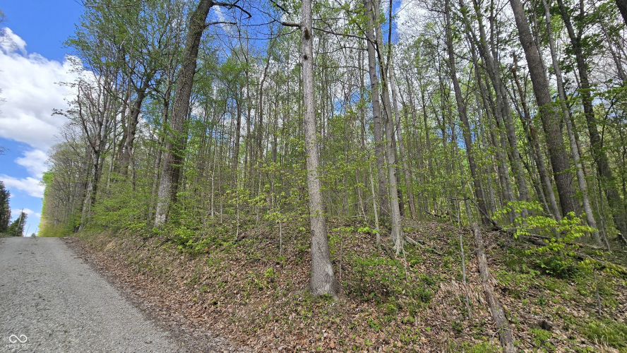 Listing Image 8