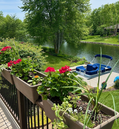Listing Image 55