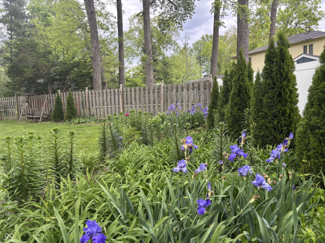 Listing Image 12