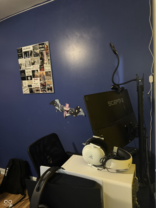 Listing Image 19