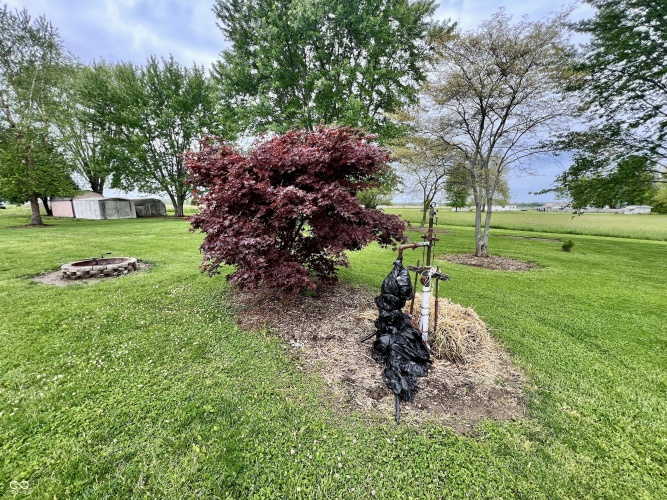 Listing Image 16