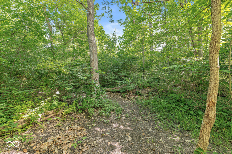 Listing Image 43
