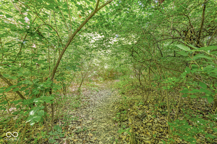 Listing Image 46