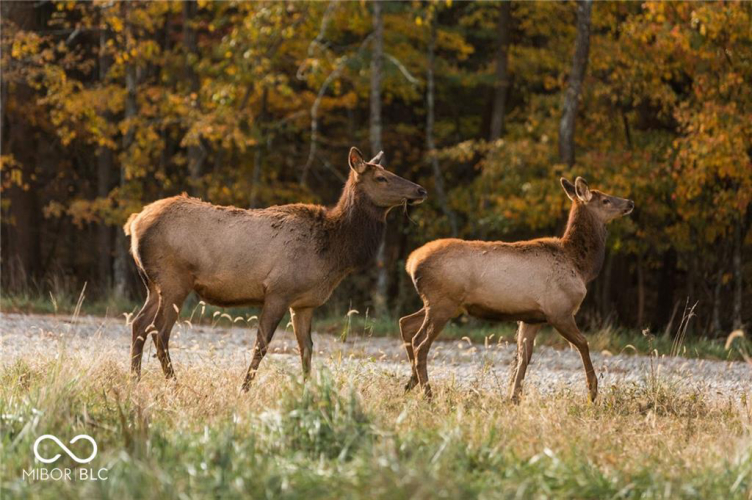 Listing Image 56