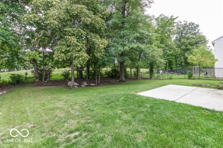 Listing Image 25