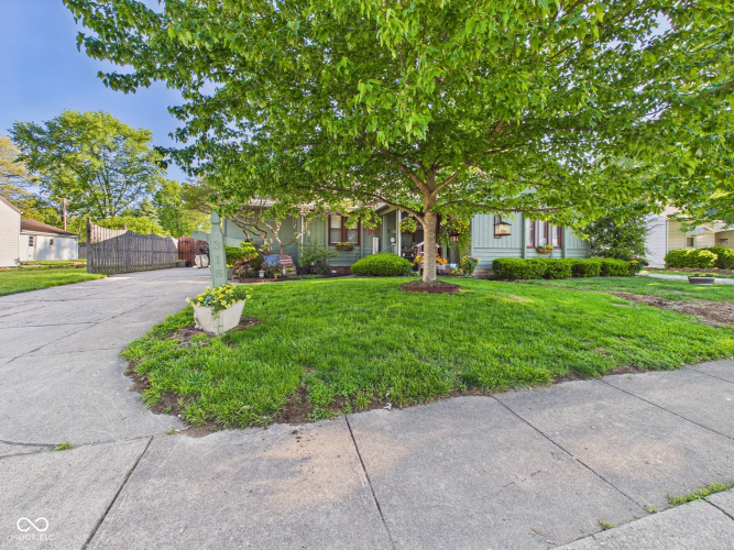 Listing Image 5