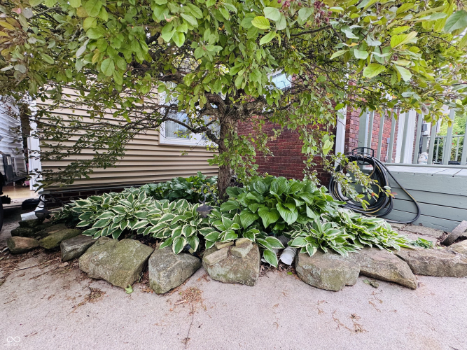 Listing Image 14