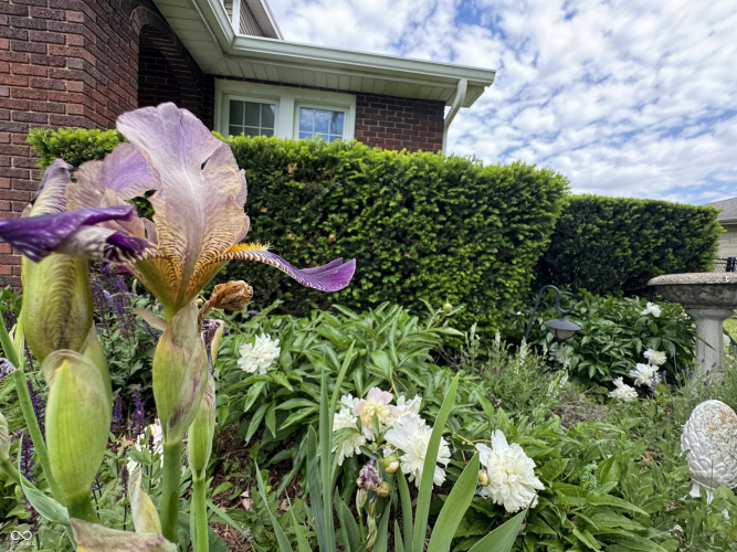 Listing Image 22