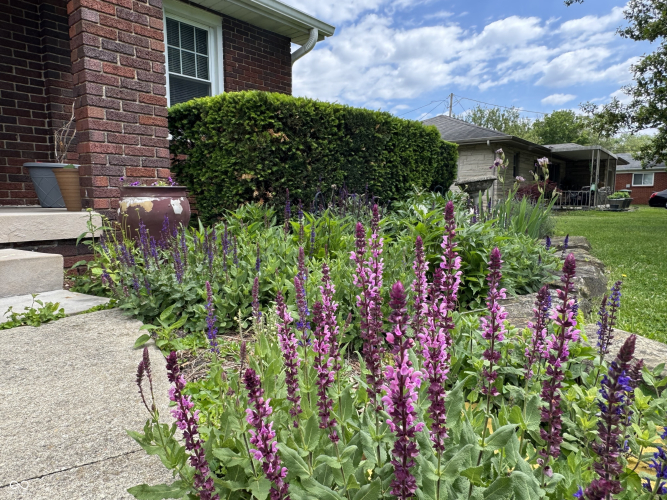 Listing Image 26