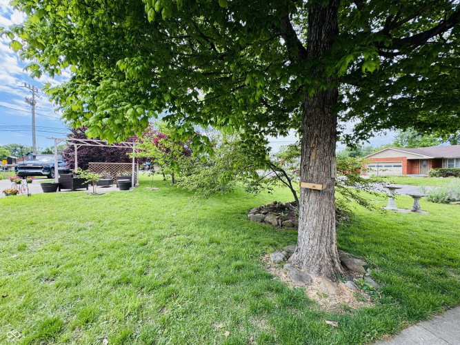 Listing Image 10