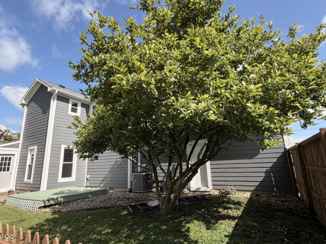 Listing Image 17
