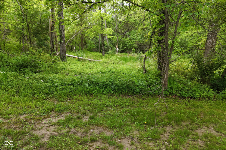 Listing Image 67