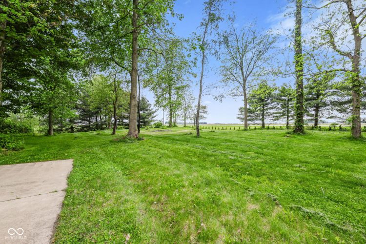 Listing Image 46