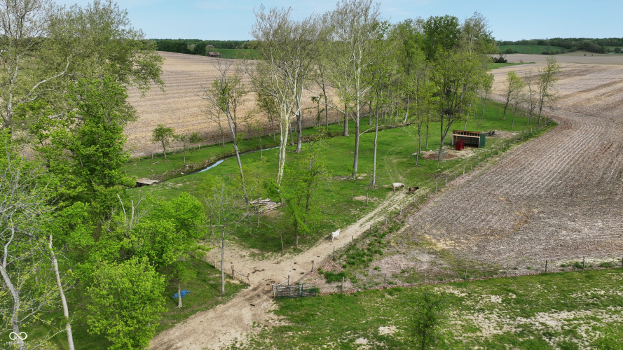 Listing Image 98