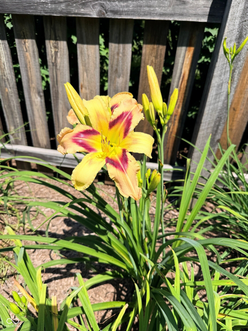 Listing Image 32