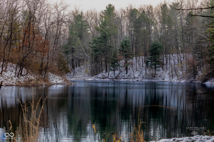 Listing Image 83