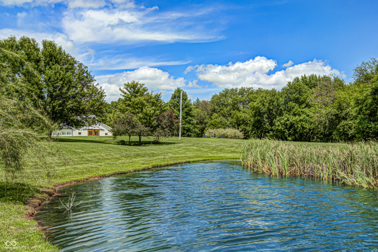 Listing Image 84