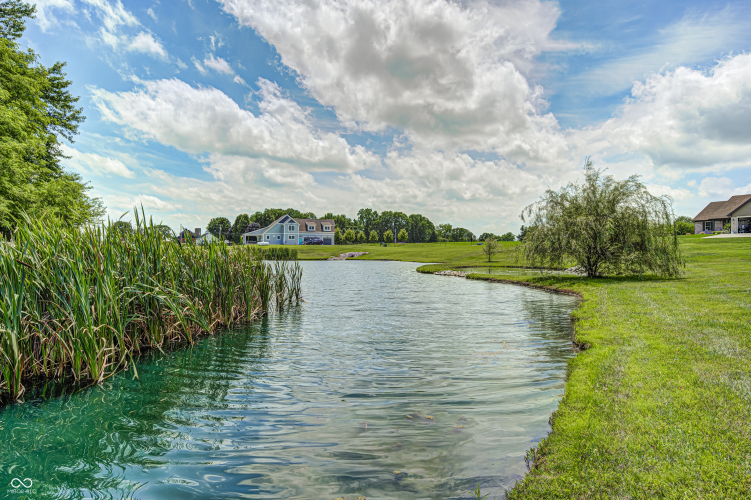 Listing Image 85