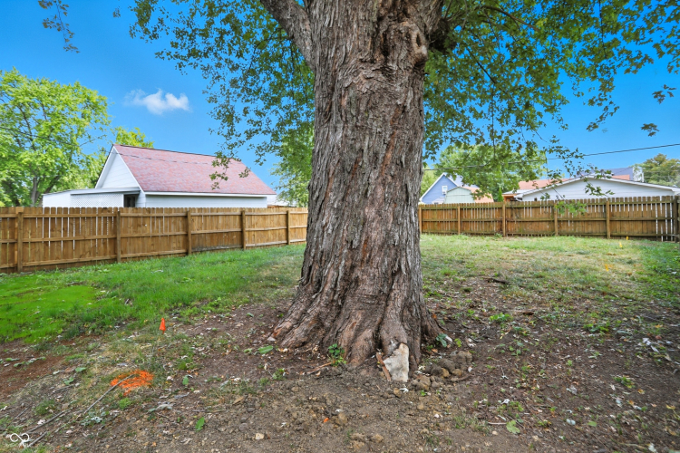 Listing Image 50