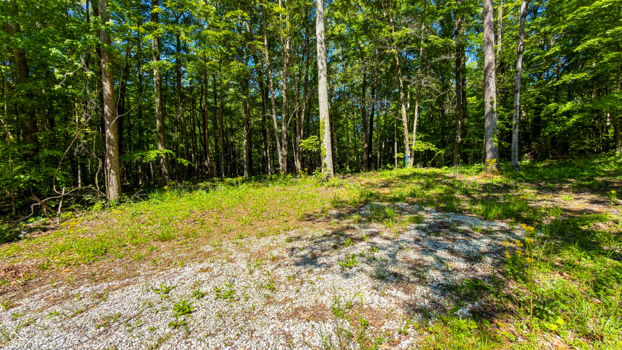 Listing Image 37
