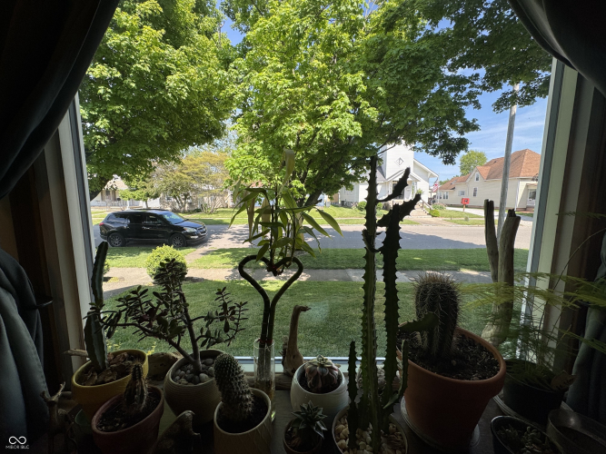 Listing Image 28