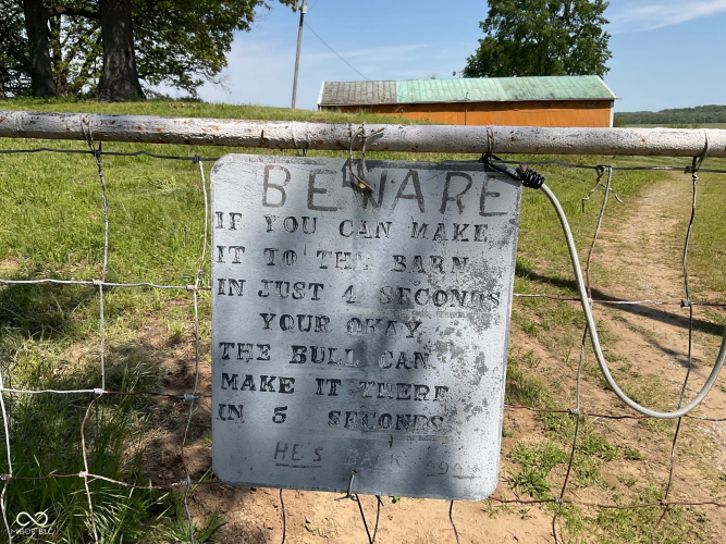 Listing Image 4