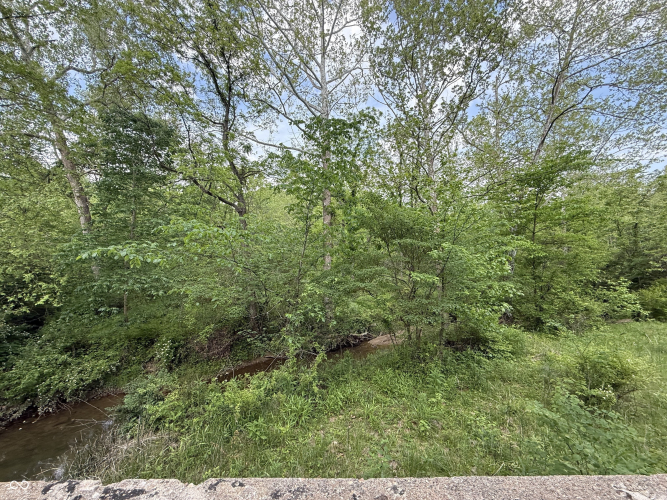 Listing Image 28